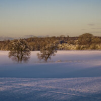 Vinterlandskab