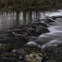 Stille vand