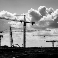 Dansende kraner ved Rødby havn